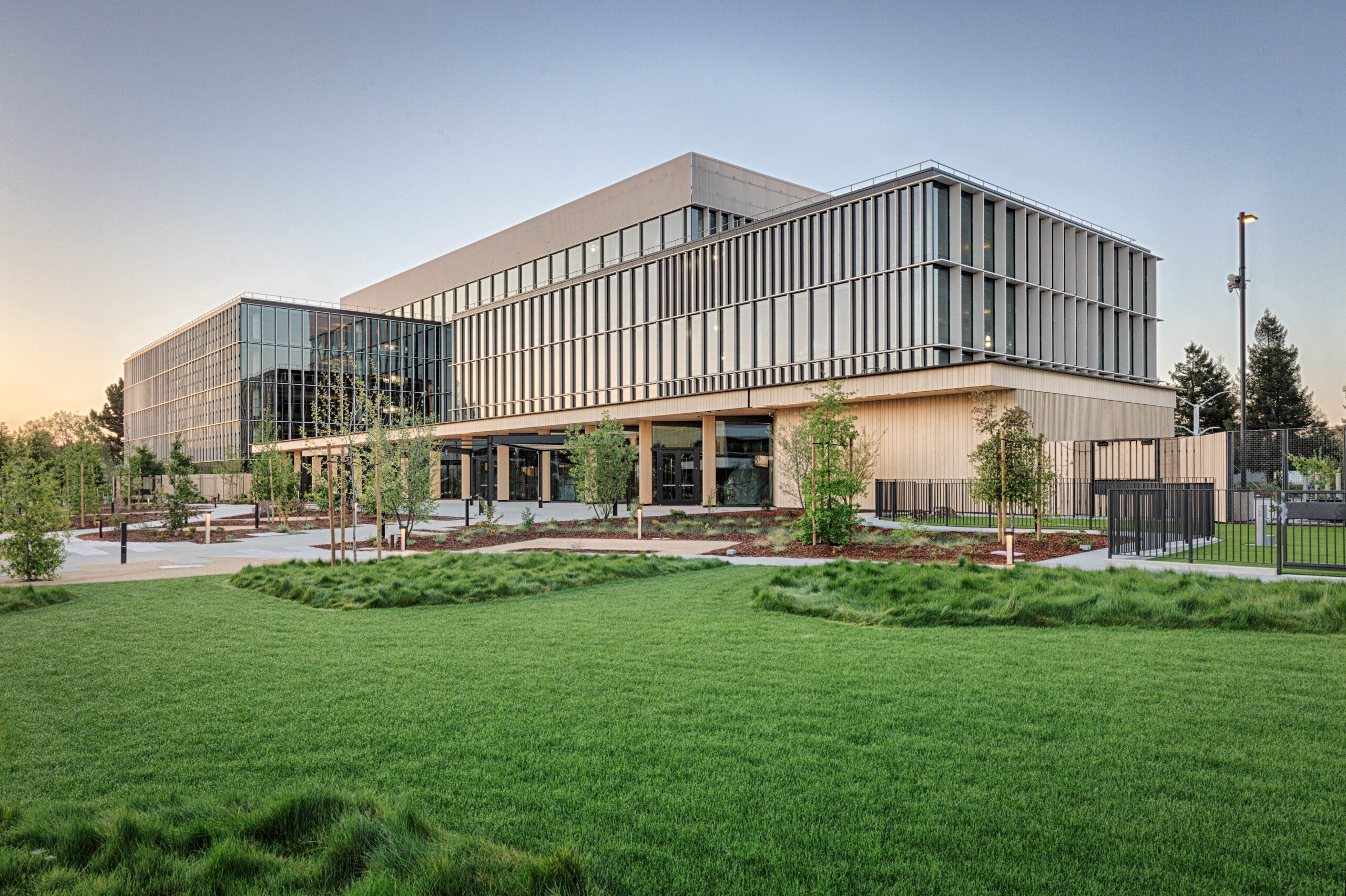 XL Construction - Mass Timber 3