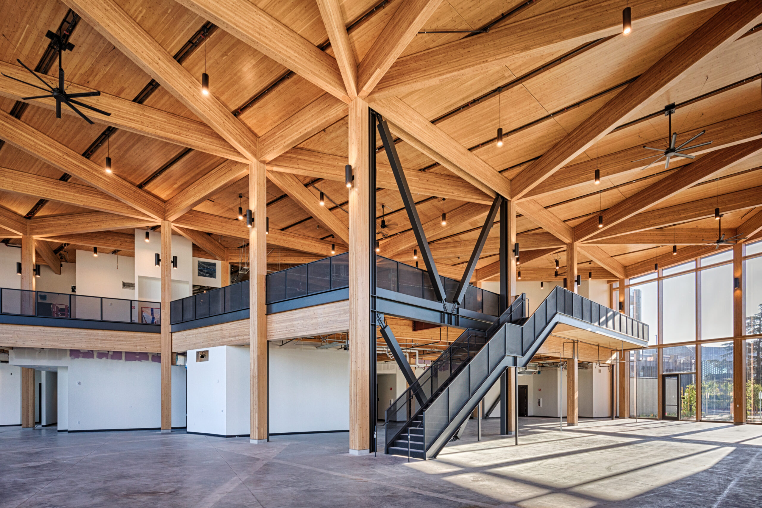 XL Construction - Mass Timber 3