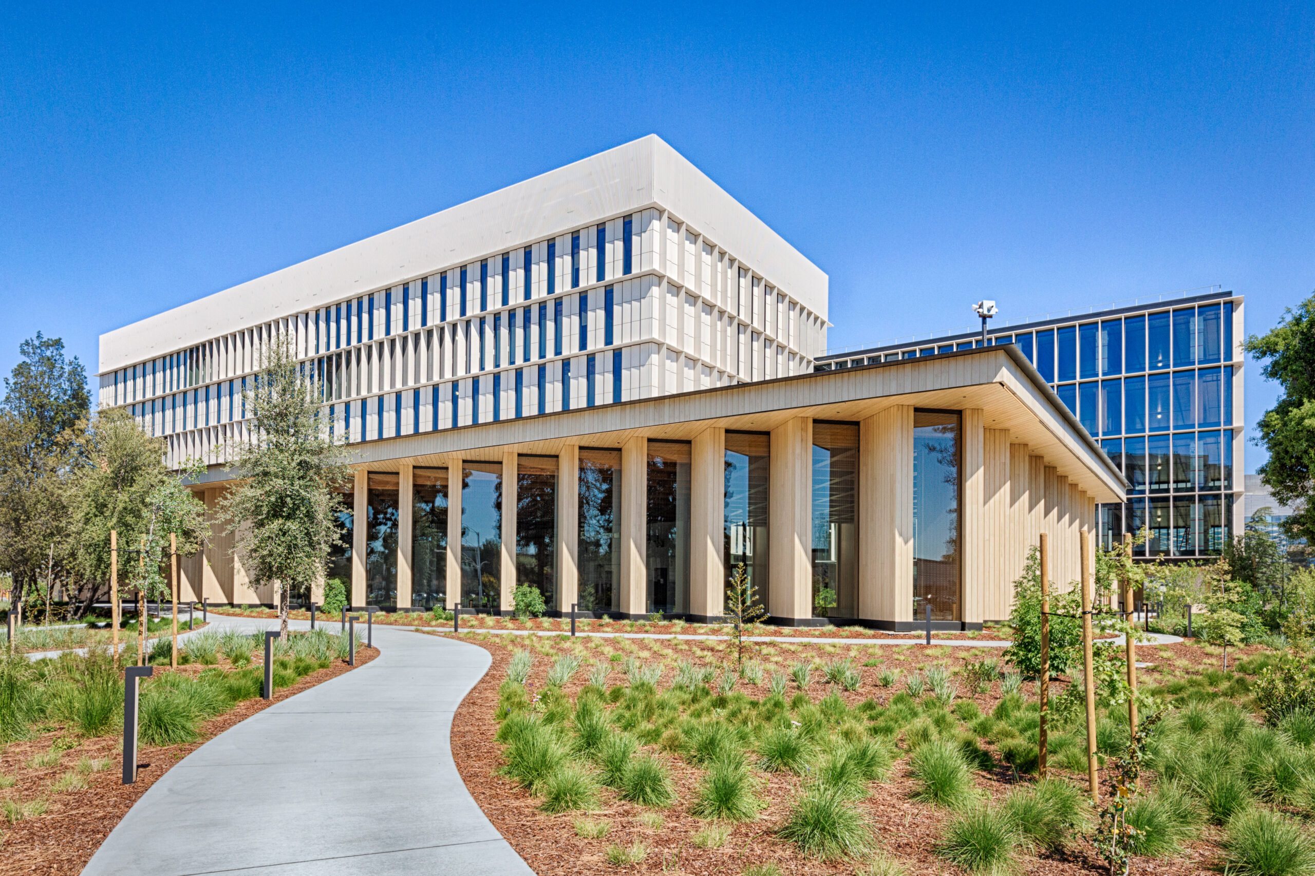 XL Construction - Mass Timber 3