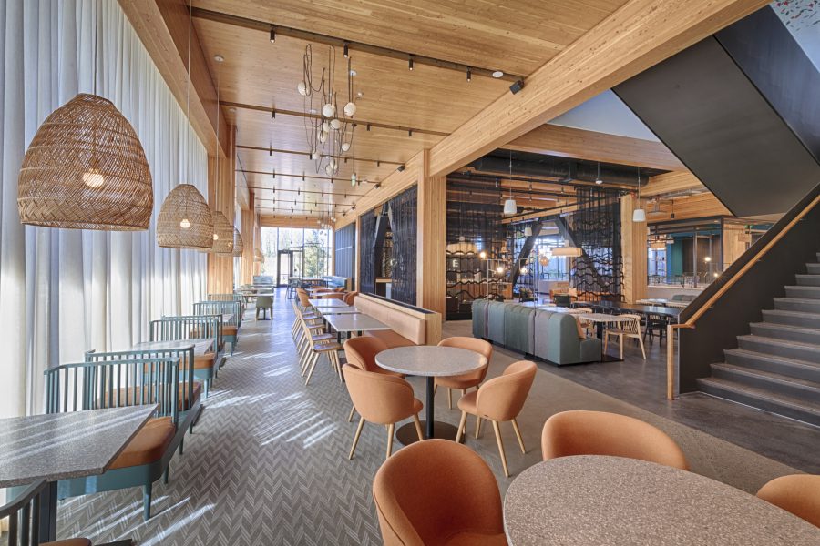 XL Construction - Mass Timber