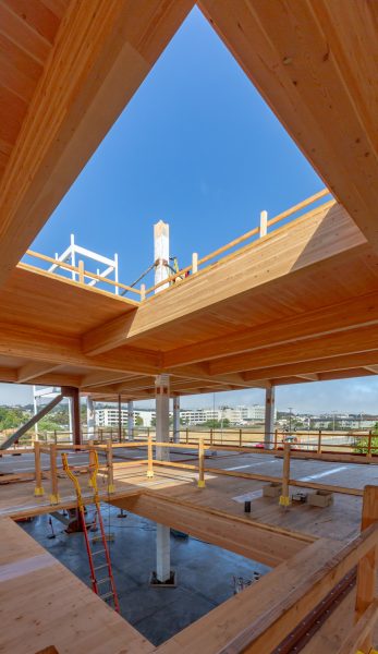 Elevated - San Mateo Wellness